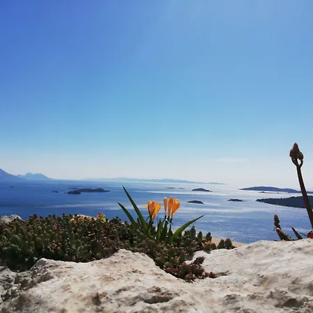 アパート Vida With Garden: オレビック