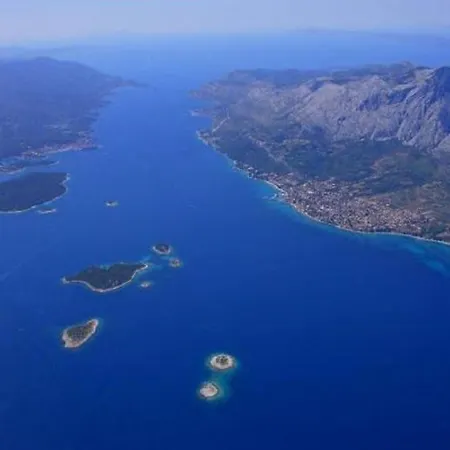 Vida With Garden: オレビック