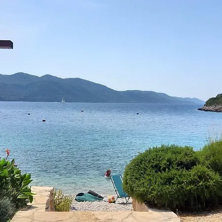 Vida With Garden: アパート