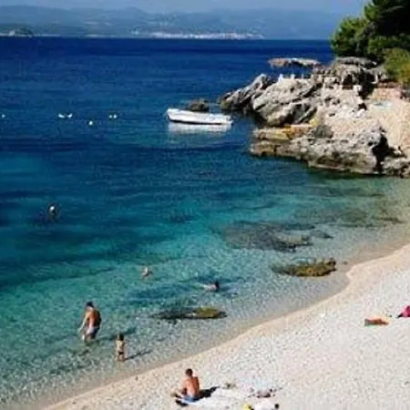 Vida With Garden: オレビック