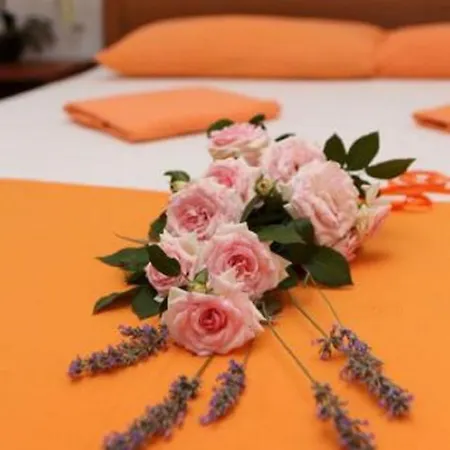 Apartment Vida With Garden: *