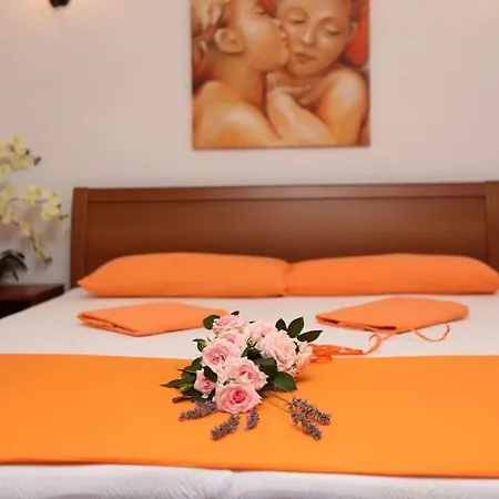 Vida With Garden: Apartment *