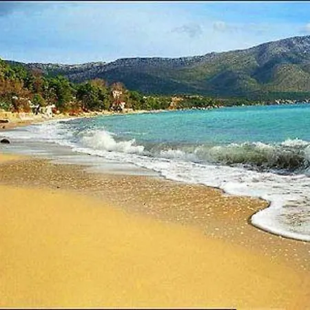 Daire Vida With Garden: *